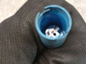 Recambio de mangueta delantera izquierda para mini mini clubman (r55) cooper d referencia OEM IAM 31216779795 31216779795 