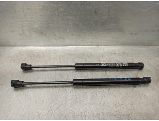 Recambio de amortiguadores capo para chevrolet captiva 2.0 diesel cat referencia OEM IAM 96830124  