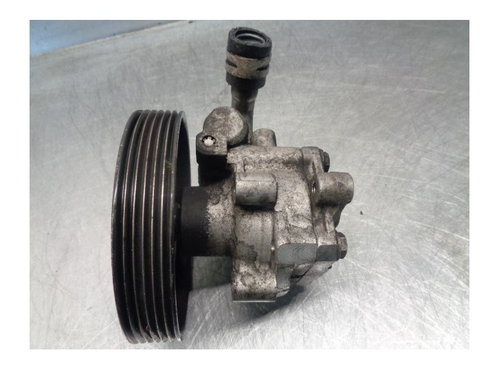 Replacement power steering pump for Ford Fiesta (CBK) 1.4 TDCi CAT OEM IAM reference 2S6C3A696DD 