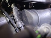 Recambio de motor completo para seat ibiza (6k1) 1.4 16v referencia OEM IAM AUA 036100098BX 295742