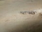 Recambio de catalizador para citroën jumpy combi 1.6 blue-hdi fap referencia OEM IAM PSAS004 9808921580 