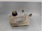 Recambio de deposito expansion para renault megane iii coupe 1.2 tce referencia OEM IAM 217100005R  