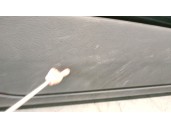 Recambio de guarnecido puerta delantera derecha para bmw 3 coupé (e92) 320 d referencia OEM IAM 51417154587 51419165557 