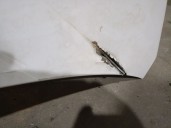 Recambio de capot para hyundai kona (os, ose, osi) 1.6 t-gdi referencia OEM IAM 5614137  