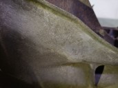 Recambio de caja cambios para peugeot 308 cc (4b_) 1.6 16v referencia OEM IAM 20EA12 2231E0 0712140