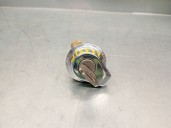 Recambio de bombin porton trasero para talbot solara 1.6 referencia OEM IAM 6J2  