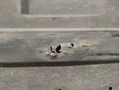 Recambio de cubrecarter para toyota yaris 1.5 16v cat referencia OEM IAM 58166K0010   CESTA 37-C