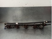 Recambio de rampa inyectora para ford fiesta berlina 1.25 16v cat referencia OEM IAM 97MF9H487BA  