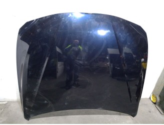 Recambio de capot para bmw 3 touring (f31) 320 d referencia OEM IAM 41007290944 41007290944 