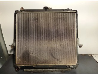 Recambio de radiador agua para nissan pathfinder (r51) 2.5 dci diesel cat referencia OEM IAM 21410EB30A 