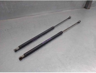 Recambio de amortiguadores maletero / porton para bmw serie 3 touring (e46) 2.0 diesel cat referencia OEM IAM 51248232873 
