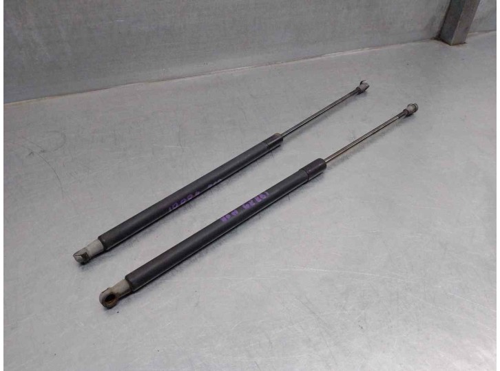 Recambio de amortiguadores maletero / porton para bmw serie 3 touring (e46) 2.0 diesel cat referencia OEM IAM 51248232873 