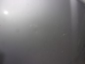 Recambio de capot para land rover freelander (ln) 2.0 td4 cat referencia OEM IAM ASR2512 GRIS 