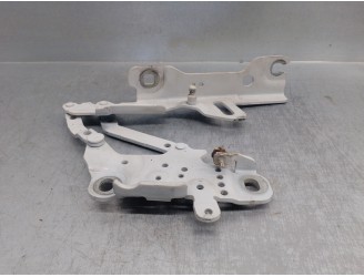 Recambio de bisagra capot para bmw serie 3 lim. (f30) 2.0 16v turbodiesel referencia OEM IAM 139896 DEL DERECHA 