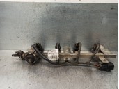 Recambio de rampa inyectora para hyundai i10 1.1 12v cat referencia OEM IAM 3961002920  