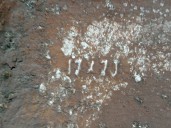 Recambio de llanta para chevrolet captiva 2.0 diesel cat referencia OEM IAM 95151220 R17X7JET46 ALUMINIO 6P