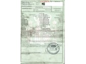 ford focus berlina (cak) del año 2000