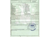 ford focus berlina (cak) del año 2001