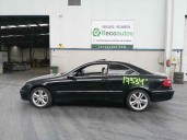 mercedes-benz clase clk (w209) coupe del año 2005