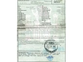 ford focus berlina (cap) del año 2005