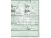 fiat punto (evo) (199) del año 2009