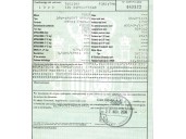ford focus berlina (cak) del año 2000