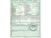 ford focus berlina (cak) del año 1999
