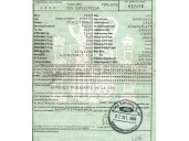 ford focus berlina (cak) del año 1999