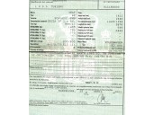 seat ibiza (6k1) del año 2001
