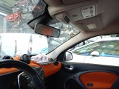 smart forfour hatchback (453) del año 2017