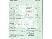 peugeot 307 (s1) del año 2002