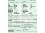 fiat punto (evo) (199) del año 2009