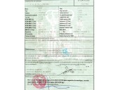 fiat punto berl. (176) del año 1999