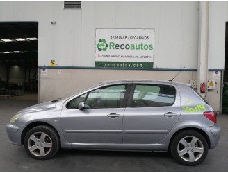 peugeot 307 (s1) del año 2002