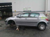 Peugeot 307 (S1) year 2004