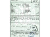 ford focus berlina (cap) del año 2005
