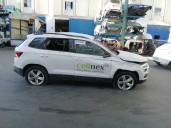 skoda karoq (nu) del año 2019