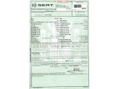 seat ibiza (6l1) del año 2007
