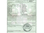 ford transit connect (tc7) del año 2005