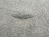 Recambio de bandeja trasera para jaguar f-pace (x761) 2.0 td4 referencia OEM IAM HK8347022AC8PVJ T4A3172PVJ 