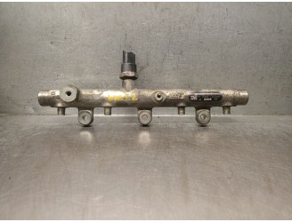 Recambio de rampa inyectora para peugeot 307 (s1) 2.0 hdi fap cat referencia OEM IAM 157095 157095 0445214019 BOSCH