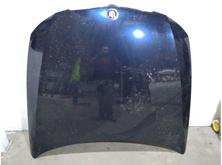 Recambio de capot para bmw 3 (e90) 320 i referencia OEM IAM 41617140729  41617140729