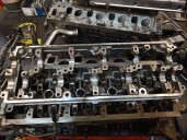 Recambio de culata para seat leon (1p1) 1.6 tdi referencia OEM IAM 03L103373A 03L103351B 03L103469C