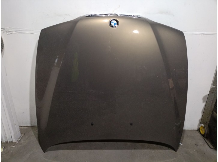 Recambio de capot para bmw serie 5 berlina (e39) 2.2 24v cat referencia OEM IAM 41618238592 41618238592 