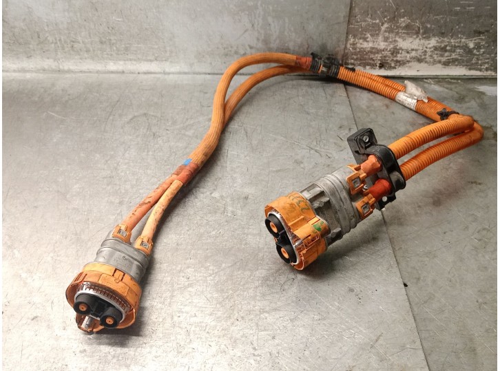 Recambio de cableado para fiat 500 (312_) electric (ev) referencia OEM IAM 00521975630 