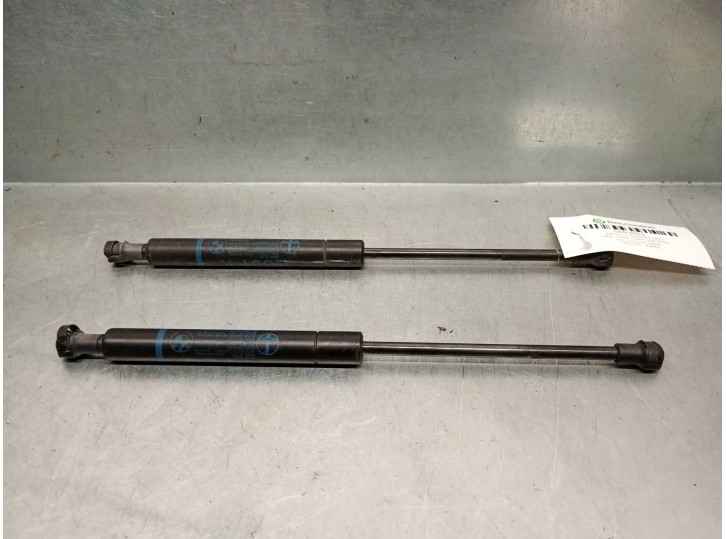 Recambio de amortiguadores capo para bmw serie 5 berlina (e39) 2.2 24v cat referencia OEM IAM 51238174866 51238174866 