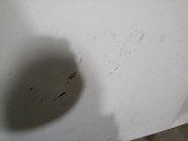 Recambio de capot para renault master ii furgoneta (fd) 2.8 dti referencia OEM IAM S9W  