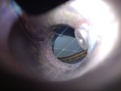 Recambio de catalizador para peugeot 508 sw i (8e_) 1.6 hdi referencia OEM IAM PSAK683 9805783280 