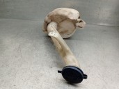 Recambio de deposito limpia para citroën berlingo 1.9 diesel referencia OEM IAM 9621010480 6431D4 