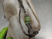 Recambio de deposito limpia para citroën berlingo 1.9 diesel referencia OEM IAM 9621010480 6431D4 